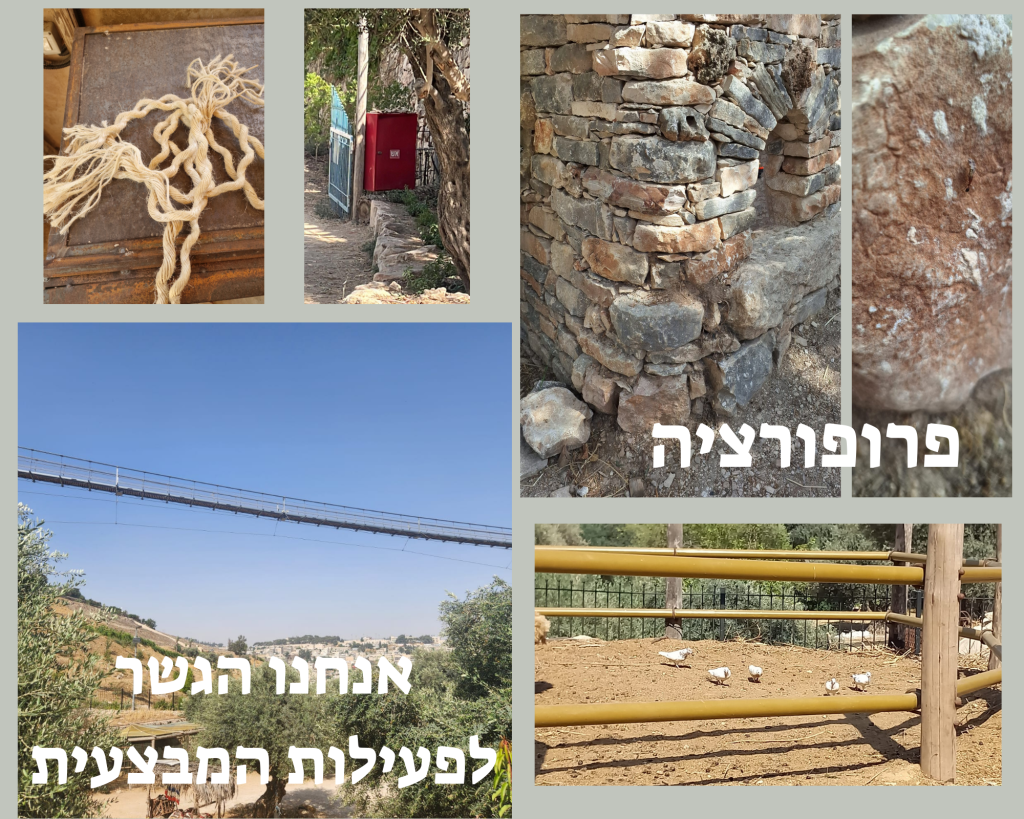 פיתוח תמונת חוסן​: צילום ופוטותרפיה ככלים להגדלת חוסן